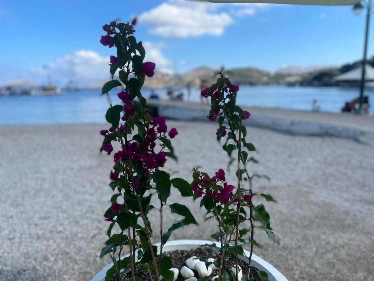Апартаменты Ονειρόπετρα Λέρος~Oneiropetra Leros Panteli Экстерьер фото